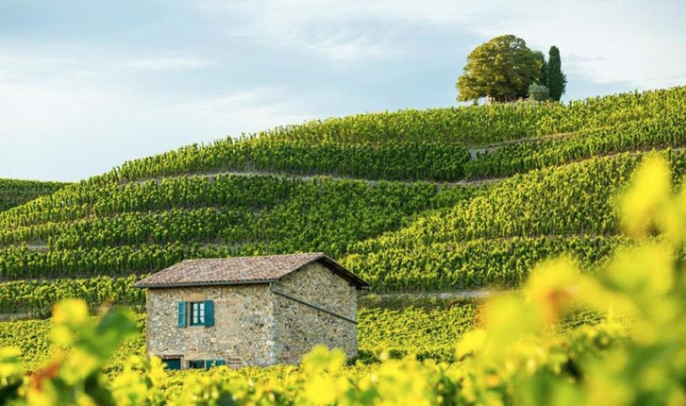 Les Gites De La Galaure Spa En Option Chateauneuf-de-Galaure Esterno foto